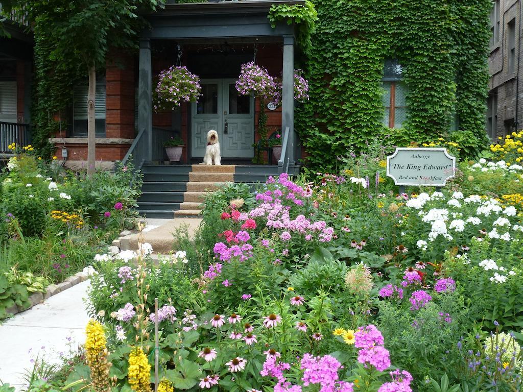 Auberge King Edward Bed And Breakfast Otawa Exterior foto