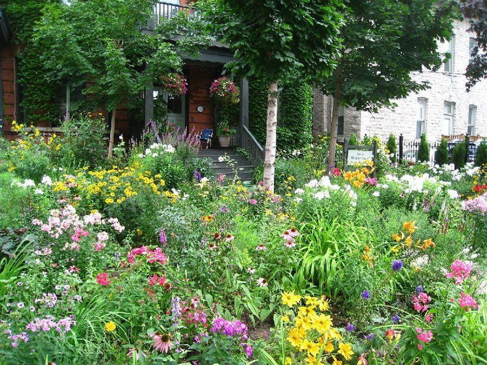 Auberge King Edward Bed And Breakfast Otawa Exterior foto